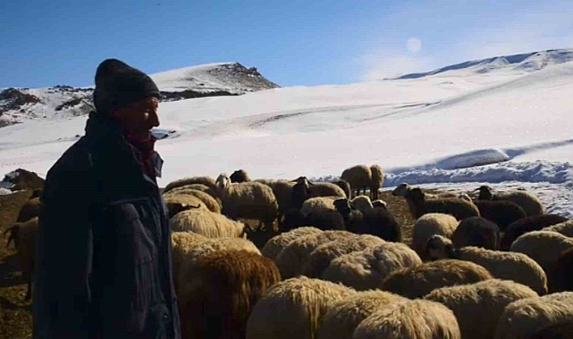 Besicilerin kış çilesi