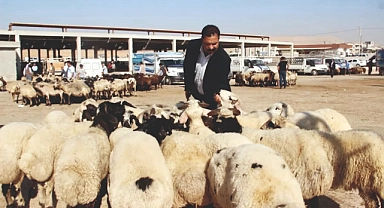 Çiftçi, küçükbaş hayvancılığın desteklenmesi için Erdoğan'a çağrı yaptı