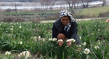 Hobi olarak başladı geçim kaynağı oldu