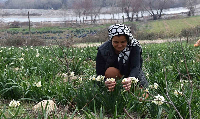 Hobi olarak başladı geçim kaynağı oldu