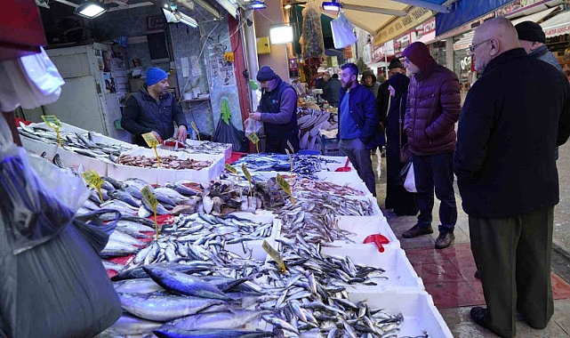 Sibirya soğukları hamsiye yaradı