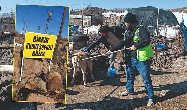 Urfa'da kuduz alarmı