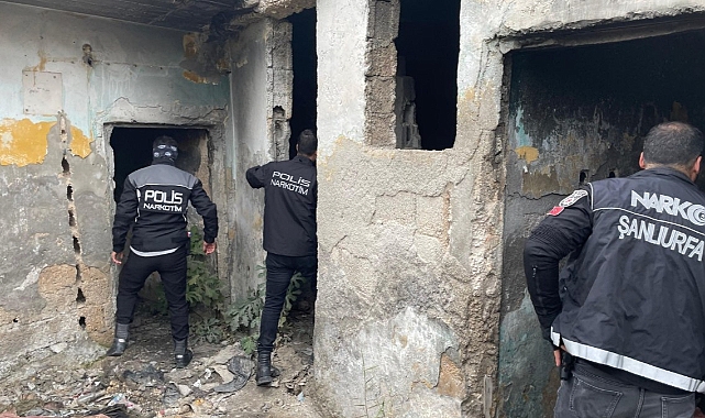 Polis ve Jandarma inlerine girdi ve tek tek topladı