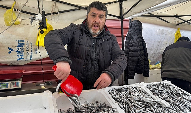 Zonguldak’ta hamsi 100 liradan alıcı buldu