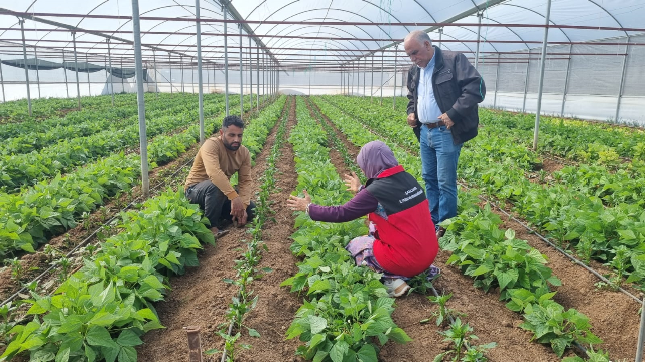 Urfa’da EKÜY tespit çalışması yapıldı