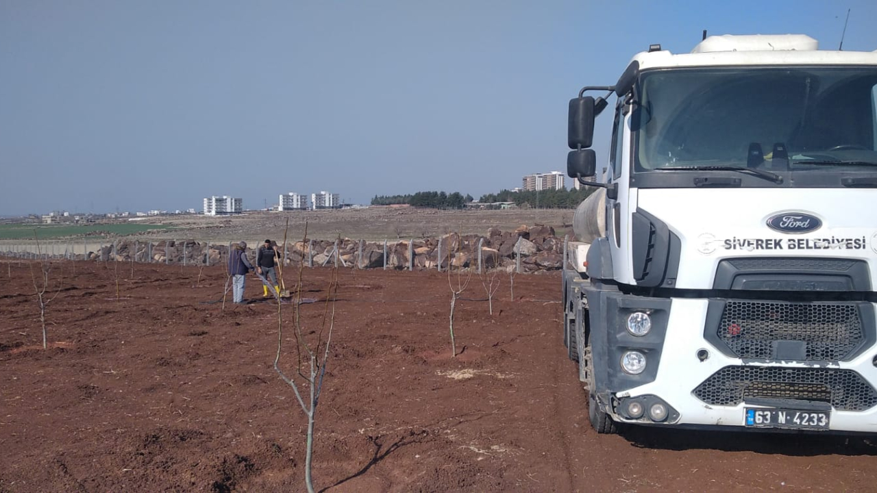 Siverek Belediyesinden yeşil hamle