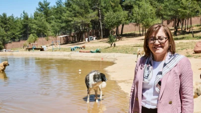 'Fatma bacı' bu projeyle TT oldu