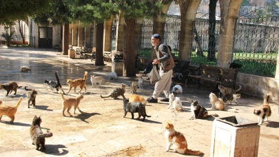 Bir başkadır Urfalının hayvan sevgisi