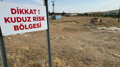 Şanlıurfa'da 'Kuduz tedbirleri' tek tek açıklandı