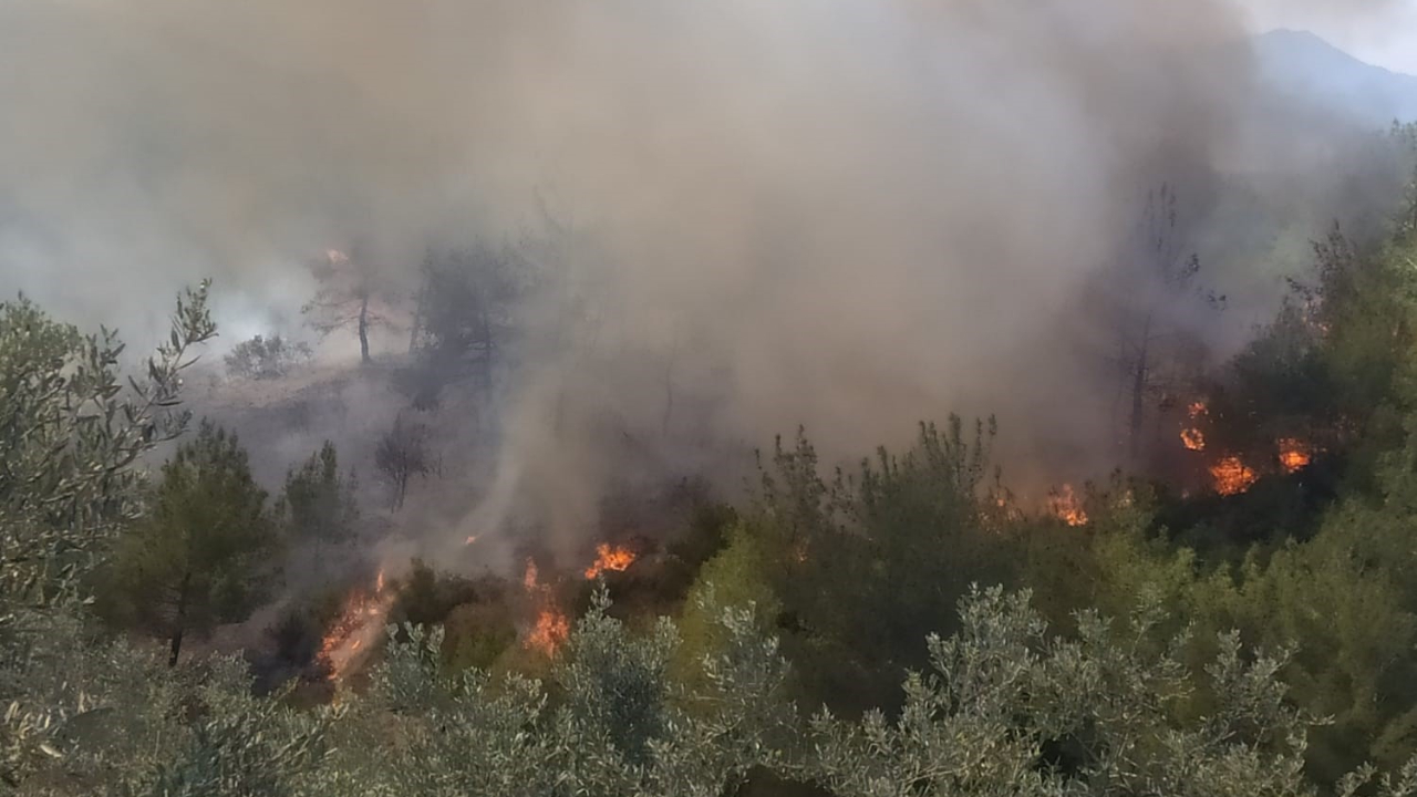 Ormanlık alanda korkutan yangın