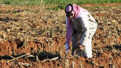 Urfa çiftçisi dört gözle bu haberi bekliyor