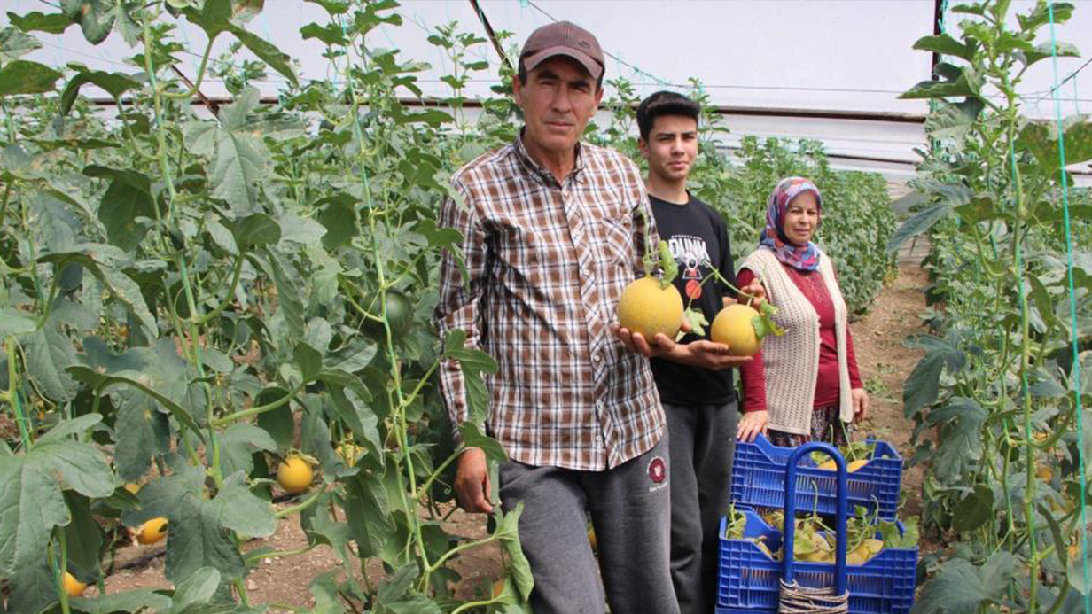 "Bu mevsimde olmaz" dediler, 2 ton hasat yapıp kilosunu 200 TL’den sattı