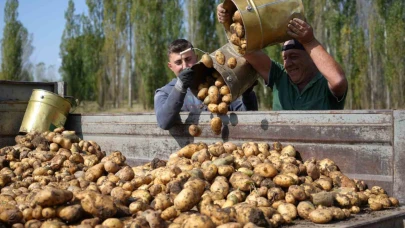 Tarımsal girdi fiyat endeksi yıllık yüzde 30,49 arttı