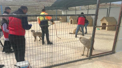 İlk uygulama bakın hangi ilçeden geldi