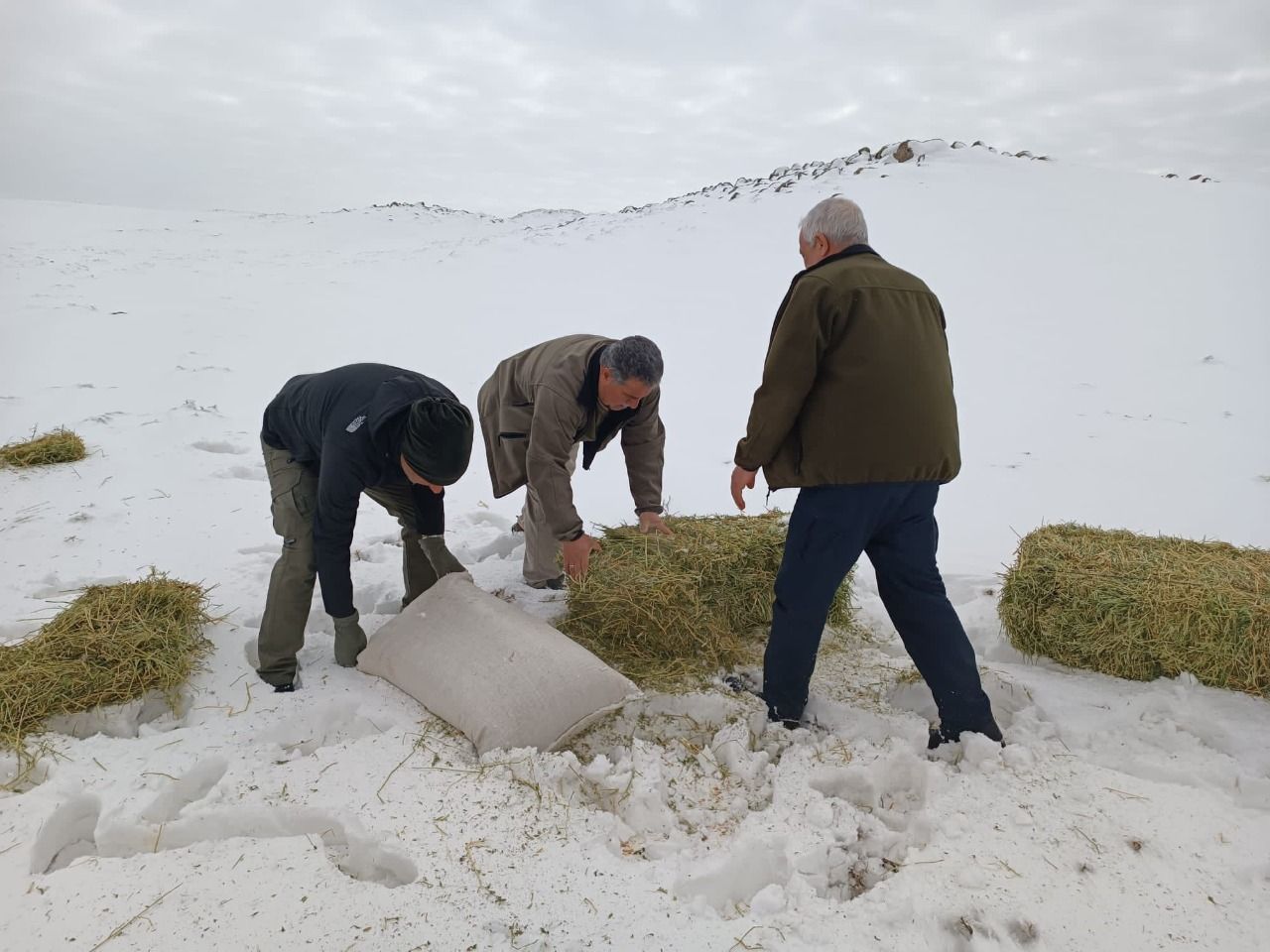 Karacadağ'da yaban hayvanları için doğaya yem bırakıldı