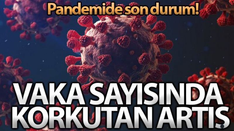 Koronavirüs'te korkutan artış!