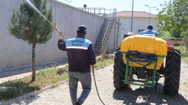 Bozova Belediyesinden larva ile mücadele