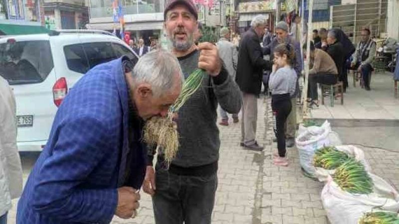 Yüksek dağlarda yetişen ve birçok hastalığa iyi geldiği belirtilen "zuzubak" otu yok satılıyor