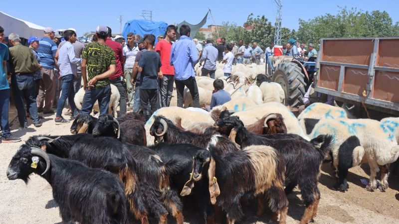 Kurban pazarlarında hareketlilik sürüyor