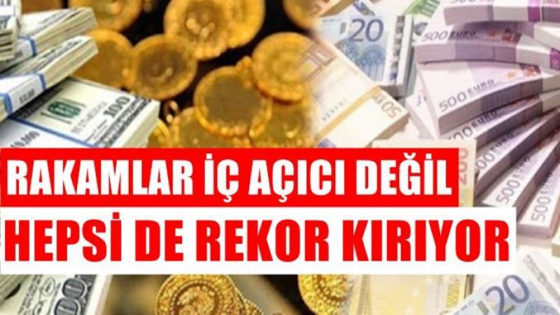 Dolar ve altından rekor üstüne rekor