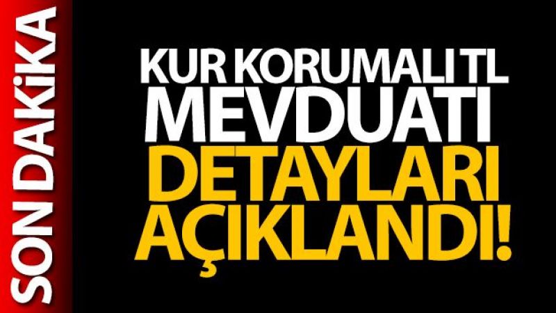 Döviz korumalı TL vadeli mevduatın ayrıntıları açıklandı