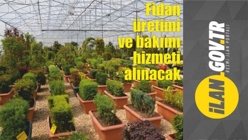 Fidan üretimi ve bakımı hizmeti alınacak