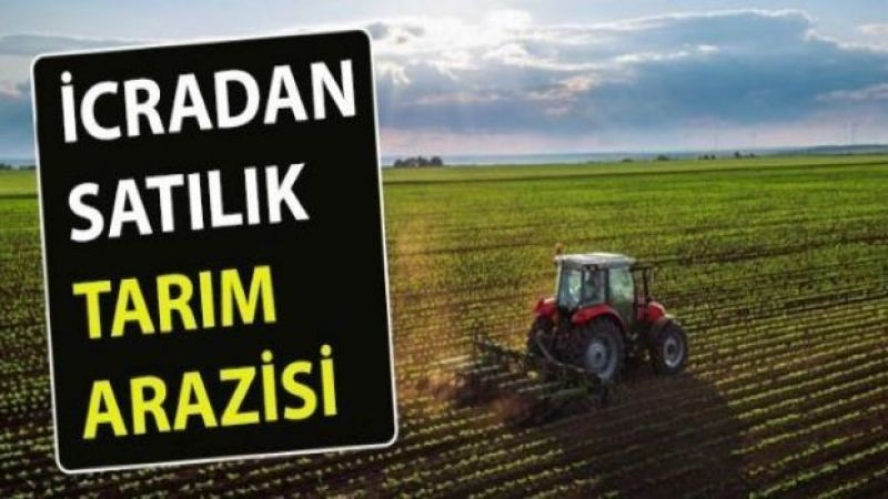 İcradan satılık 15.860 m² tarım arazisi