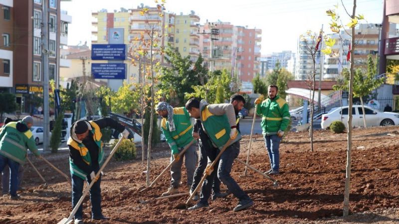 Karaköprü'de yeşil alan düzenleme çalışmaları sürüyor