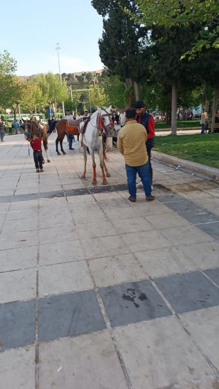 Olumsuz görüntülere bir yenisi daha eklendi