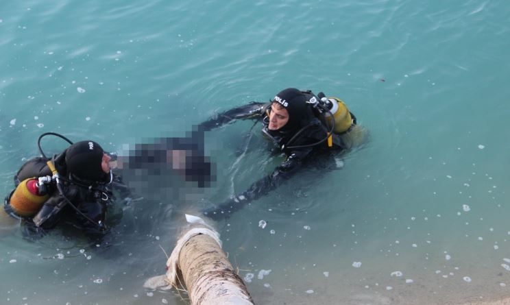 Urfa’da otomobil sulama kanalına uçtu: Ölüler var ...