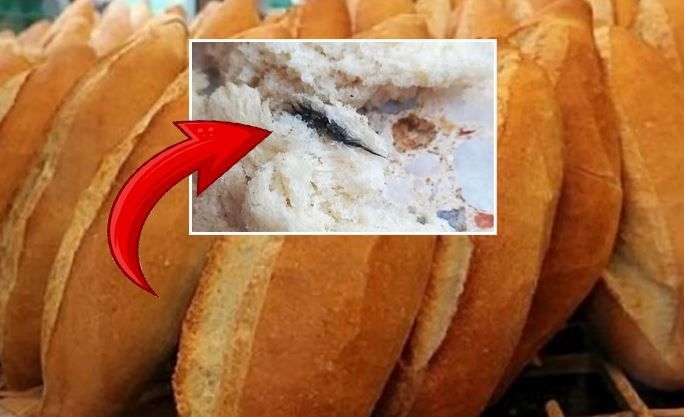 Urfa’da ekmekten çıkan cisim şaşırttı