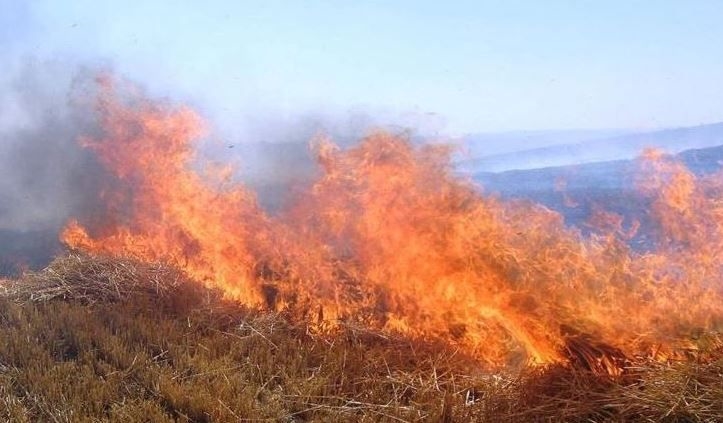 Urfa’da buğday ekili tarla yandı: 2 yaralı