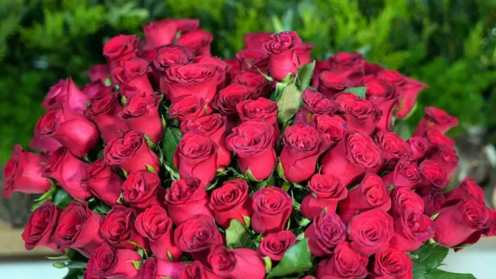Sevgililer Günü heyecanı başladı; Her 4 çiçekten üçü internet üzerinden alınıyor
