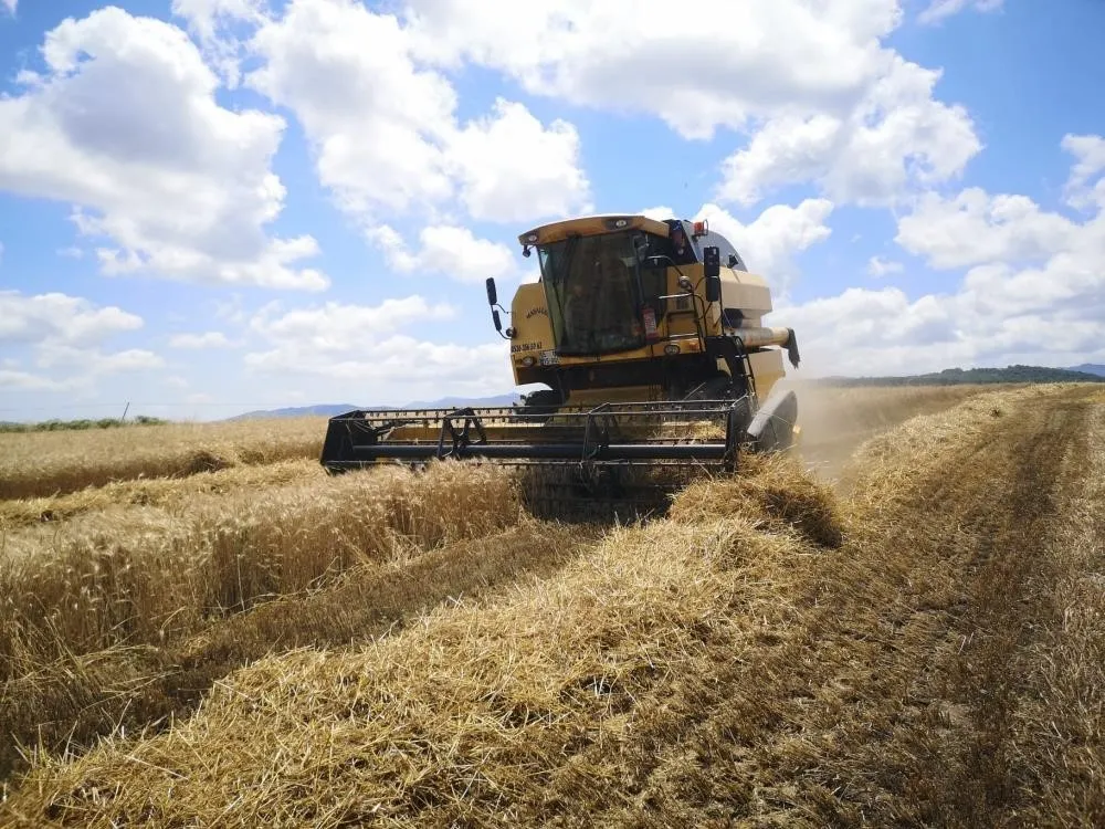  2,5 milyon ton buğday ithalatı, 434 bin ton buğday unu ihracatı yaptı