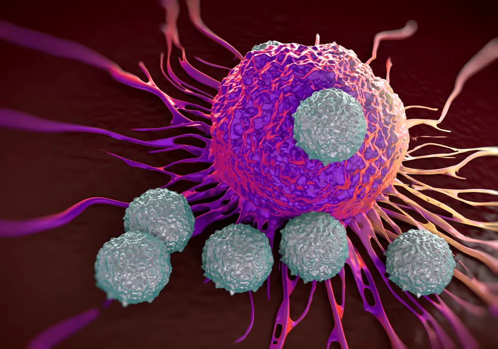 Kanseri ‘T’ hücreleri yok edecek
