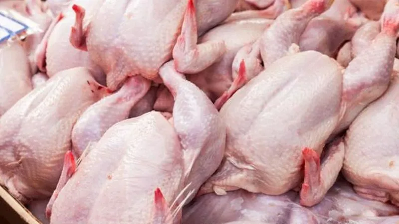 Tavuk eti ihracatı sınırlandırıldı