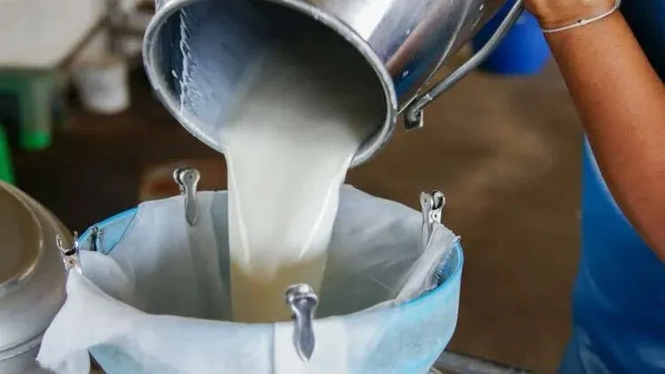 Çiğ süt üretimi azaldı