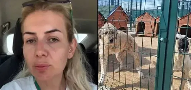 Urfa’da kuduz köpekleri kaçıran kadın için istenen ceza belli oldu