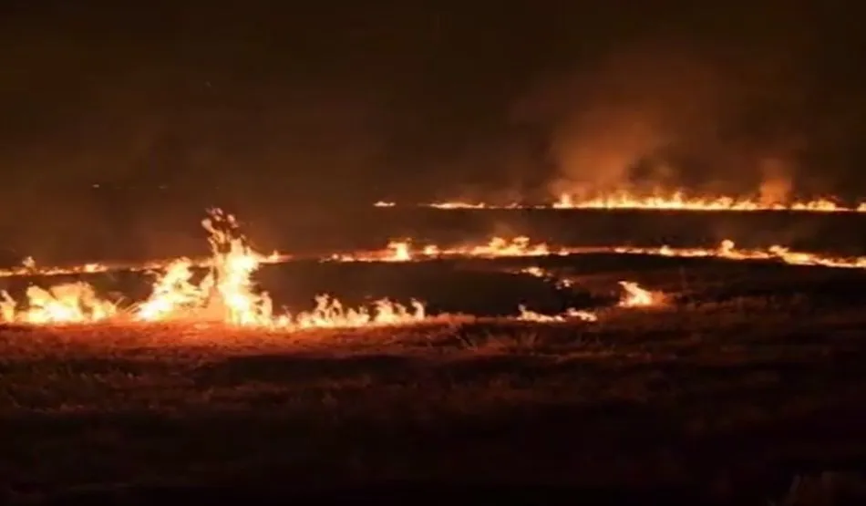 Urfa Valisi: Büyük bir felaket yaşadık, anız yangınlarına taviz yok!